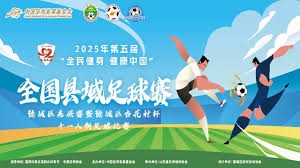 科特迪瓦世界杯绝杀英雄背后的非洲足球真相