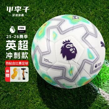 探索机器人世界：足球、钢琴与棋艺的完美结合